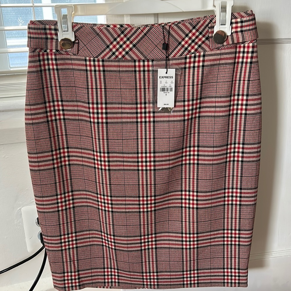 Express Pencil Skirt